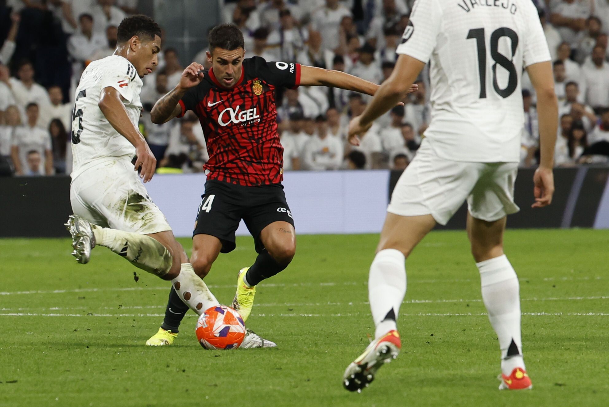 MADRID, 14/05/2025.- El centrocampista inglés del Real Madrid, Jude Bellingham (i), se dispone a golpear el balón ante el centrocampista del Mallorca, Dani Rodríguez, durante el partido de la jornada 36 de LaLiga de fútbol que Real Madrid y RCD Mallorca disputan este miércoles en el estadio Santiago Bernabéu. EFE/Blanca Millez.