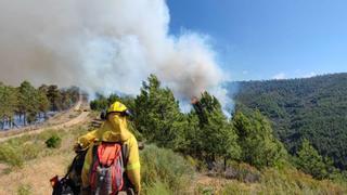 El fuego arrasa ya casi 8.000 hectáreas en Gata y Las Hurdes