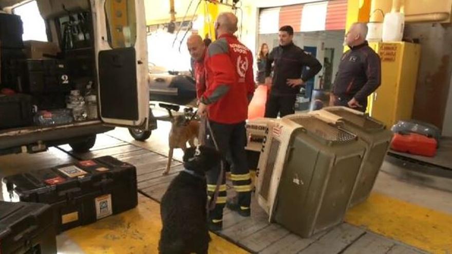 Sale un primer avión a Turquía de la base aérea de Morón, en Sevilla, con ayuda humanitaria