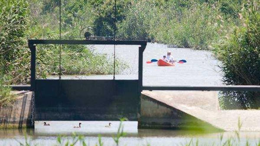 Varias personas conducen una canoa por el Gran Canal, una práctica totalmente prohibida.