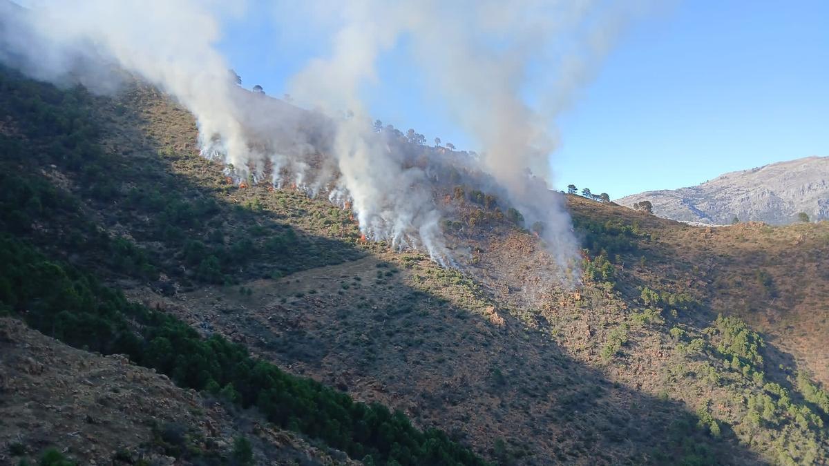 Incendio en Istán, en el Parque Nacional Sierra de las Nieves