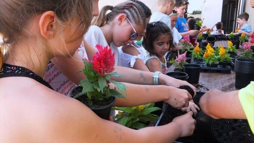 Más de 75 niños se divierten en el campus del Museo Aquagraria