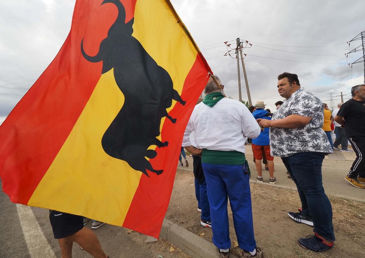 Los festejos del Toro de la Vega, en imágenes