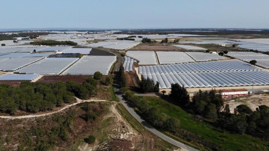 Vista aérea de una finca de regadío en el entorno de Doñana.