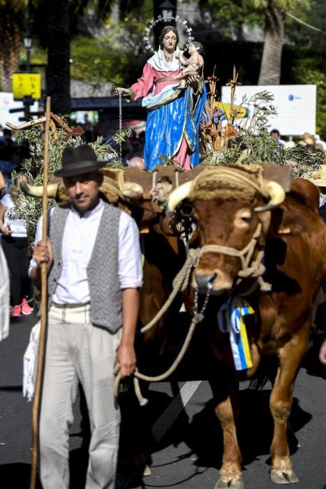 GRAN CANARIA 16-12-2018 SANTA LUCIA. SANTA LUCIA ...