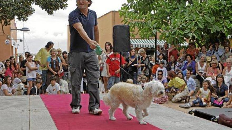 SOS Animal veranstaltet Fest in Puerto Portals