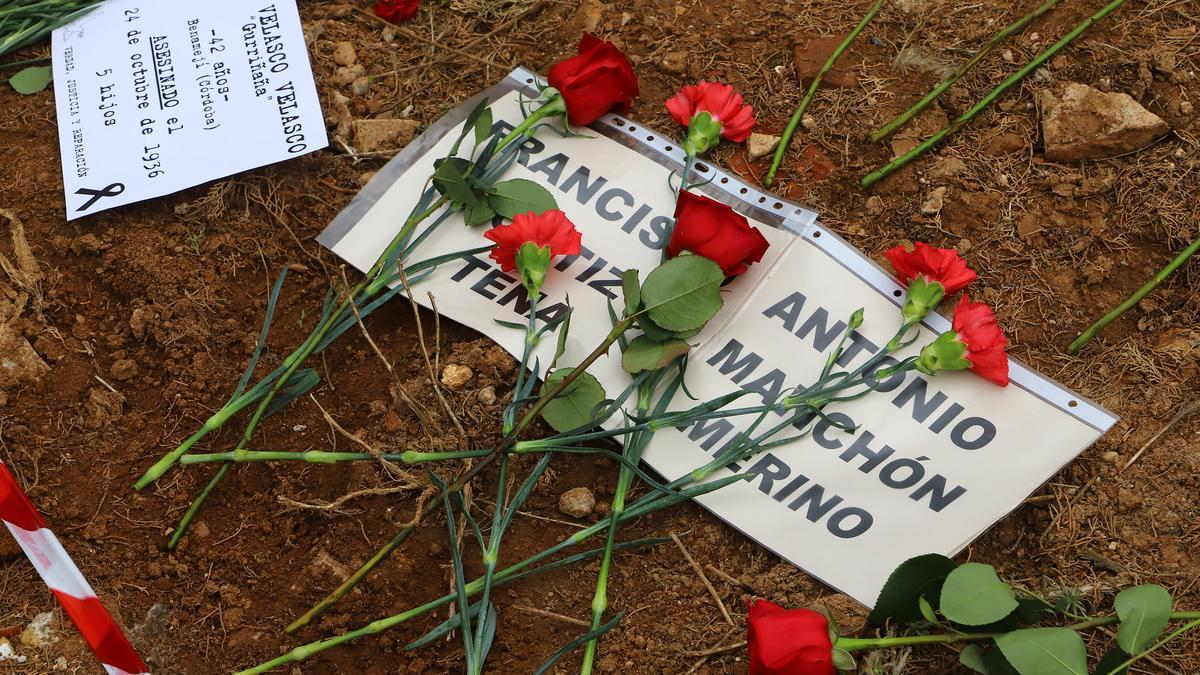Claveles sobre el lugar donde reposan los restos de represaliados en el cementerio de la Salud de Córdoba, en un acto de memoria democrática.