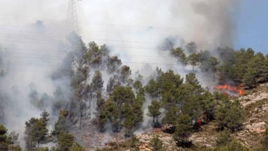 Un helicóptero realizando una descarga de agua para extinguir las llamas que arrasaron una zona de pinos en el Preventorio.