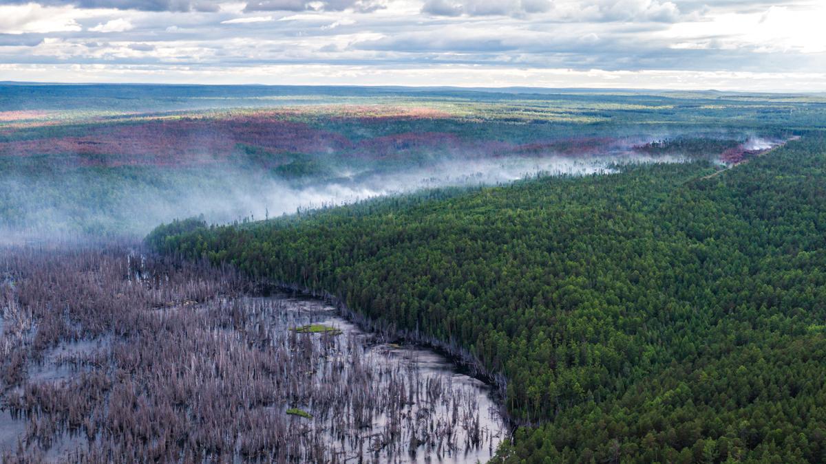 Incendio forestal en una región ártica