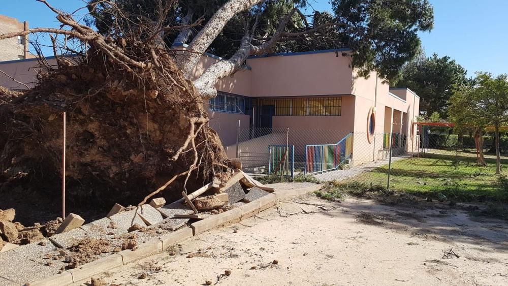 Destrozos del viento en Sagunt