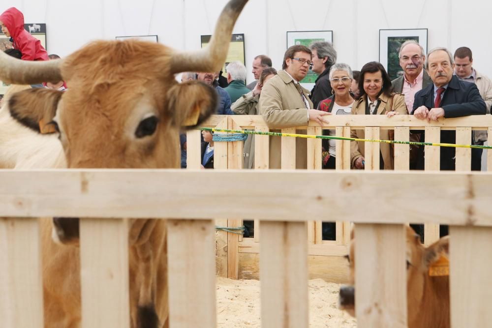 Inauguración de la feria de La Ascensión