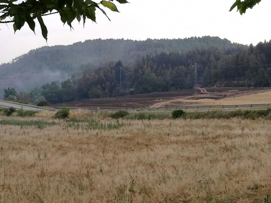 El paisatge a Avinyó, després del foc