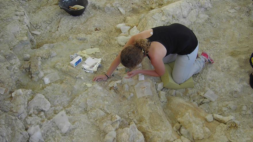 Científicos de la UMA hallan una trampa natural con más de un millón de años de antigüedad