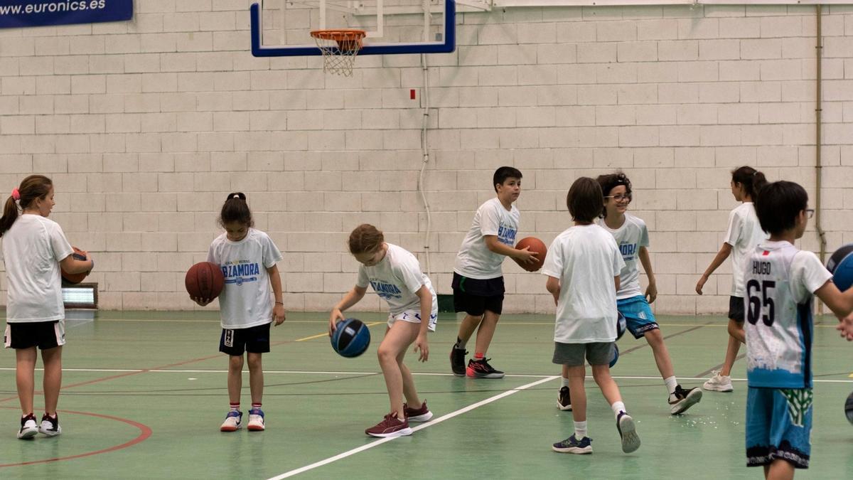 Varios niños practican baloncesto en un campus del CB Zamora.