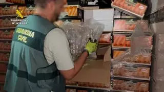 Las incautaciones de droga se disparan en Córdoba con 4,4 toneladas de hachís y más de 650 kilos de marihuana en un año