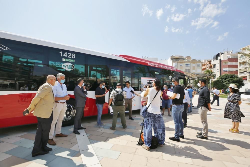 Avanza renueva el 50% de la flota del bus urbano en Torrevieja con siete nuevos vehículos