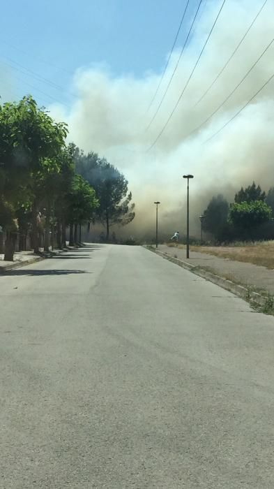 Incendi agrícola a Sant Joan de Vilatorrada