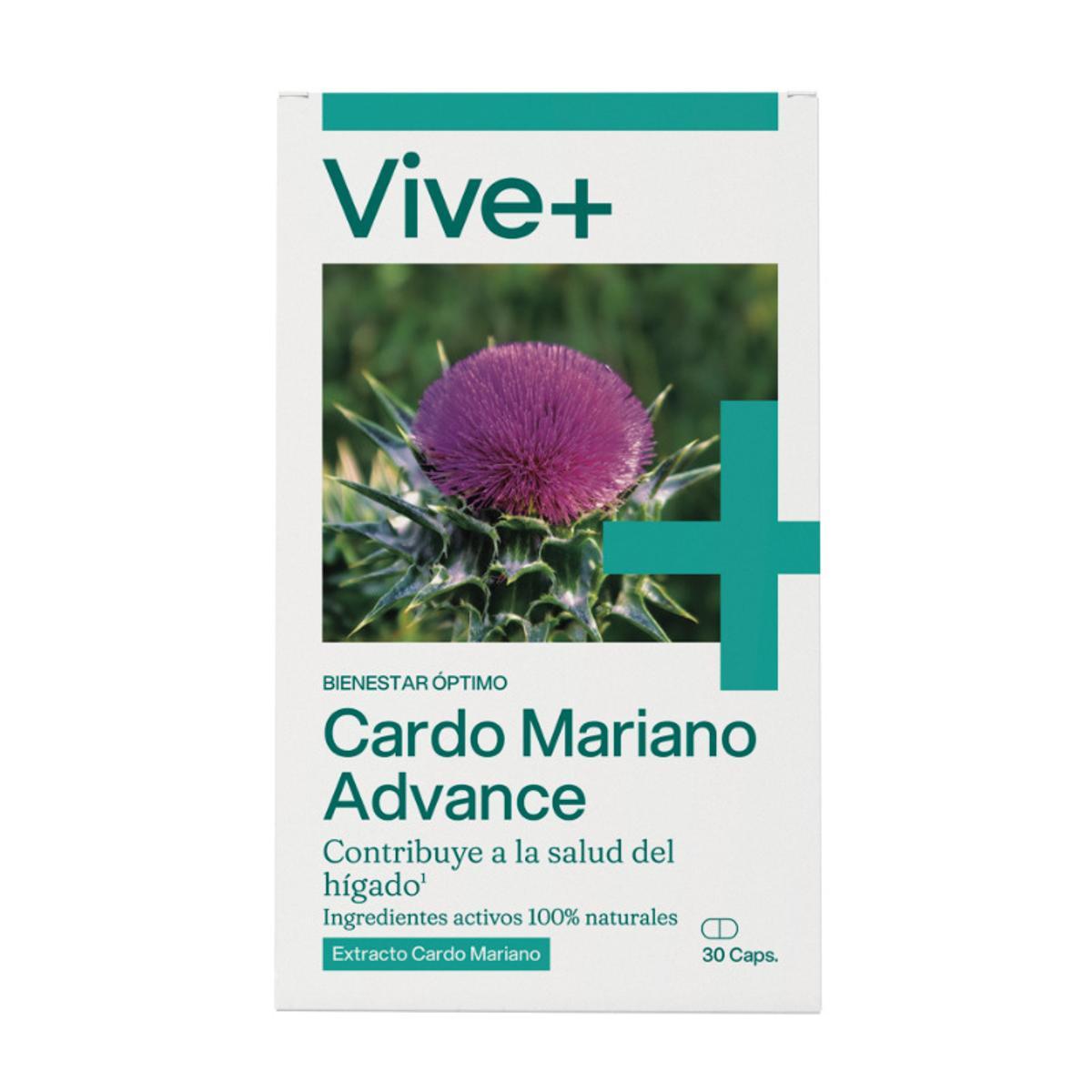 Cardo Mariano Advance.