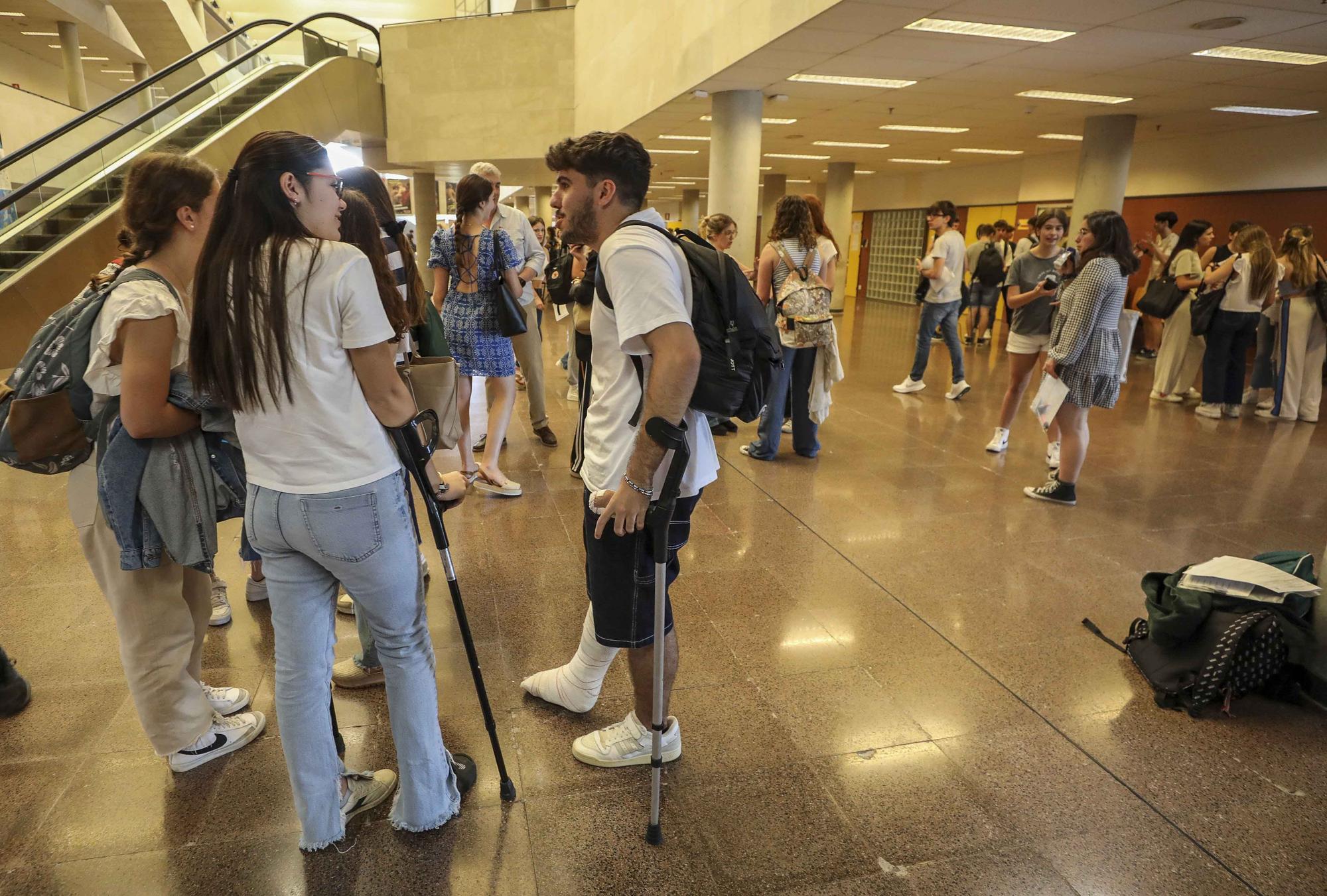 Nervios y repasos de ultima hora en la Selectividad en la UMH de Elche