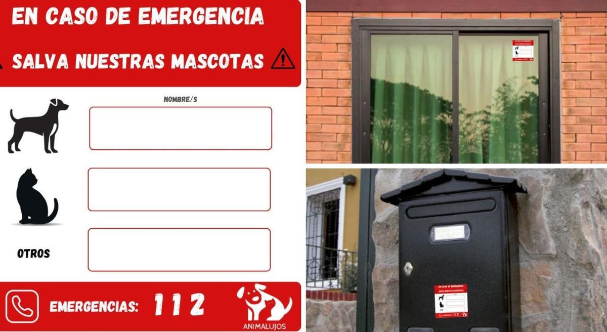 La pegatina en cuestión y dónde ubicarla.