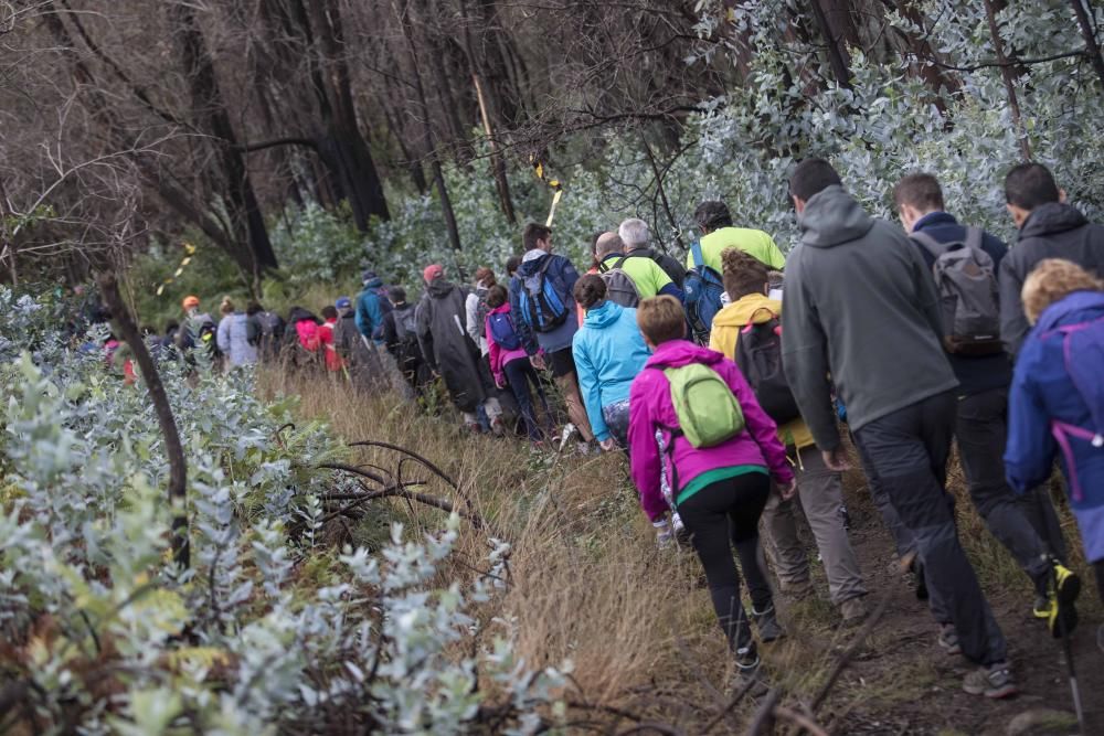 Más de medio millar de personas se citaron esta mañana en Coruxo para recorrer la zona quemada en octubre de 2017.