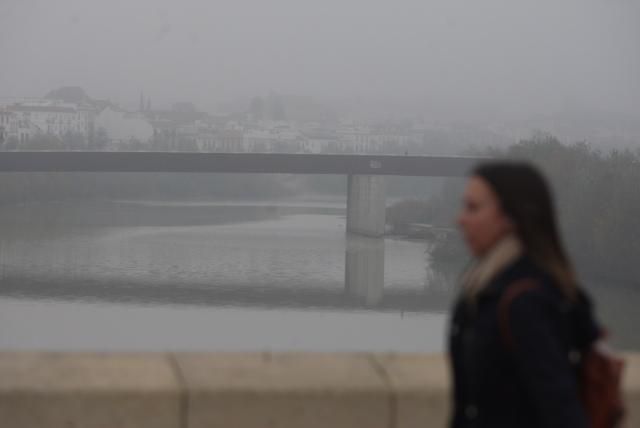 FOTOGALERÍA / Una densa niebla despierta Córdoba