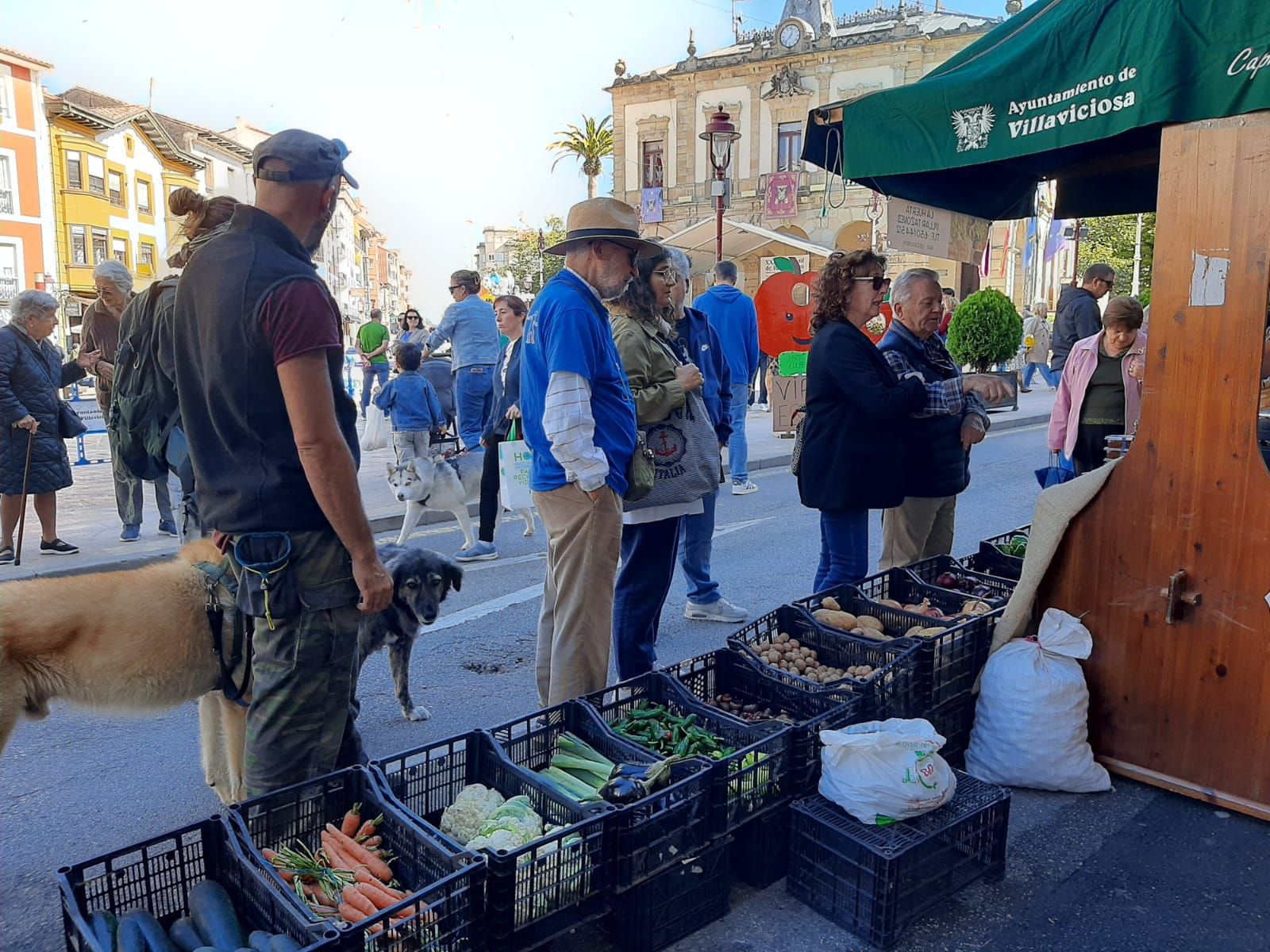 Villaviciosa abre el Festival de la Manzana: la primera mañana de actividades, en imágenes