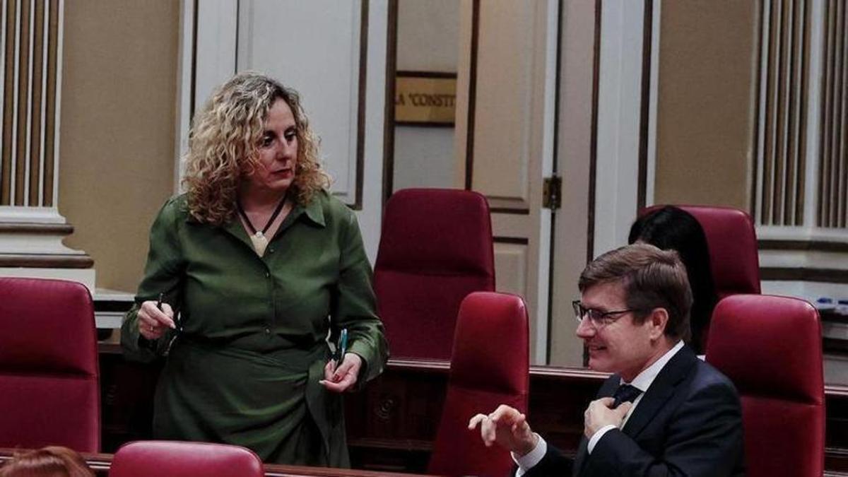 La exdiputada de Vox Marta Gómez conversa con el portavoz parlamentario, Nicasio Galván, en una imagen de archivo.