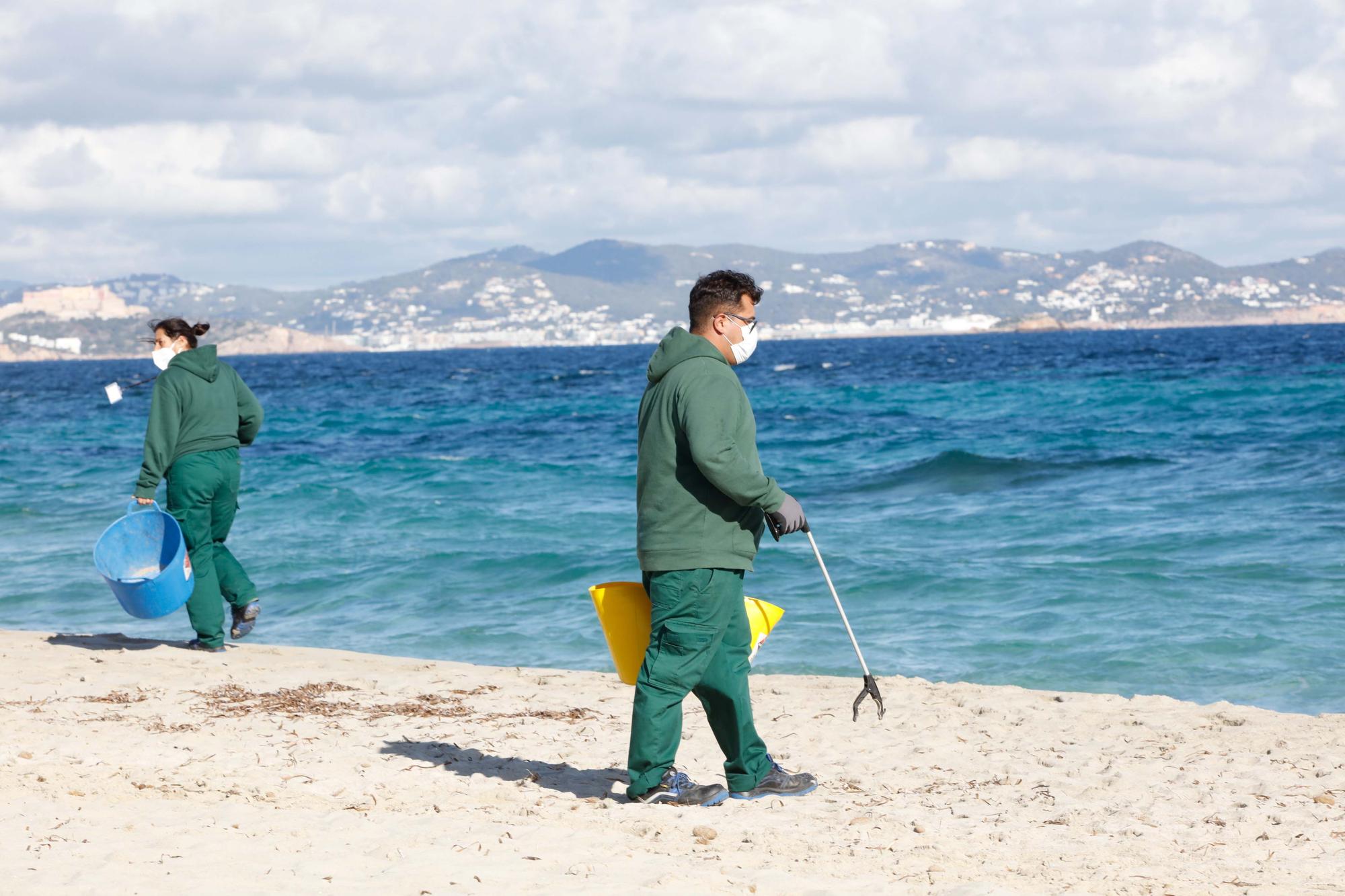 Limpieza de la playa de es Cavallet