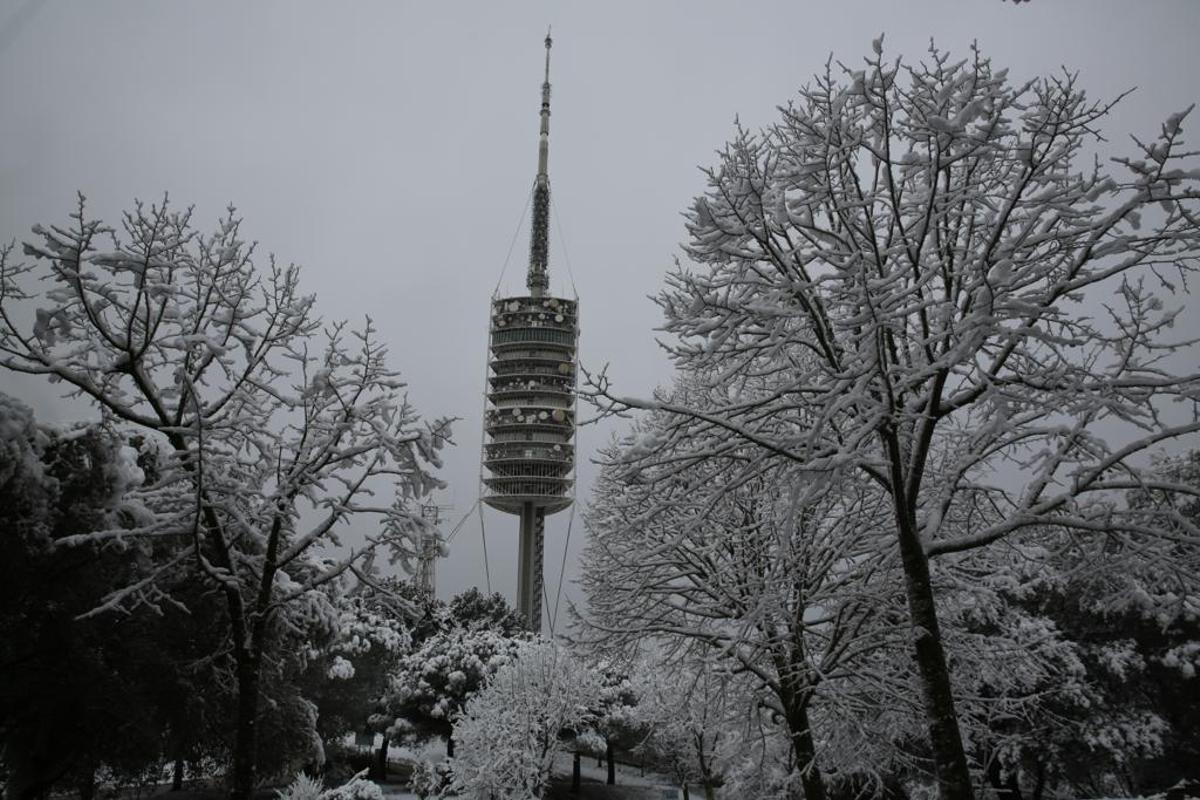 La nieve llega a Barcelona: Collserola, cubierta de blanco