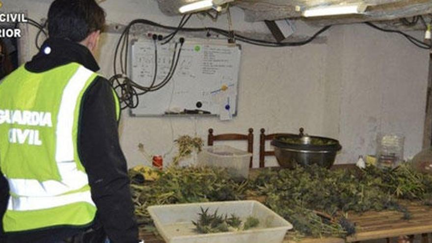 Desmantelamiento de una de las masías con marihuana.