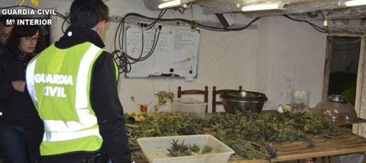 Desmantelamiento de una de las masías con marihuana.