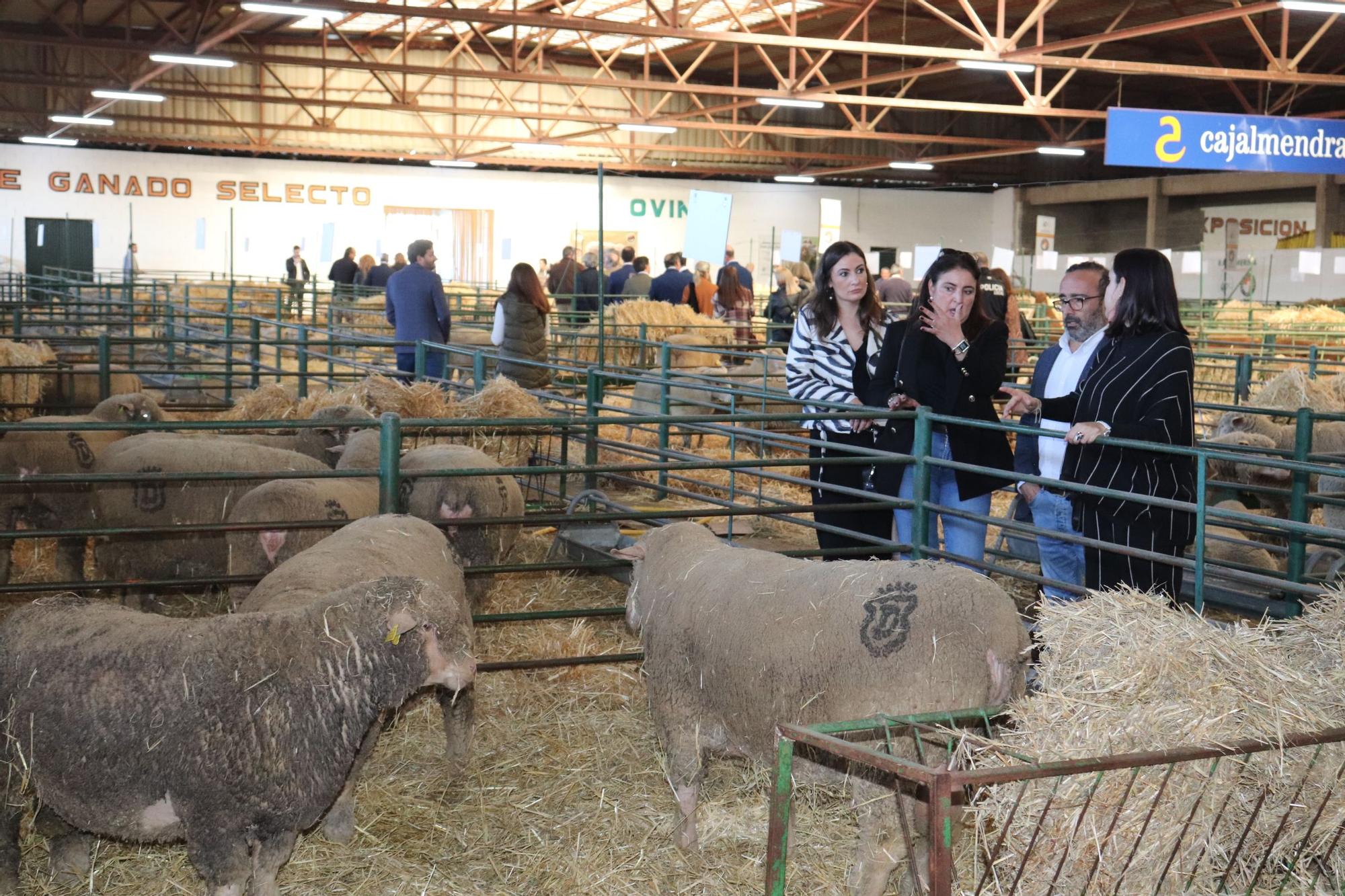 Inauguración 39 Agroganadera de Trujillo