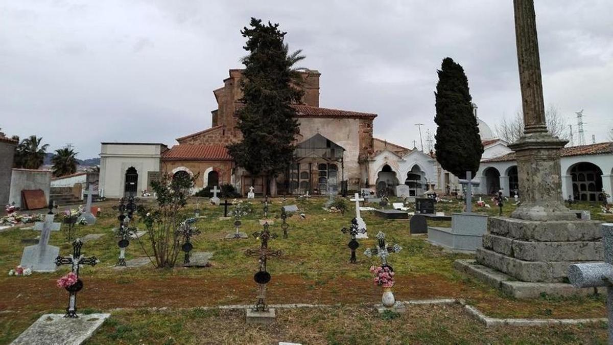 Árboles, en el cementerio de Plasencia.