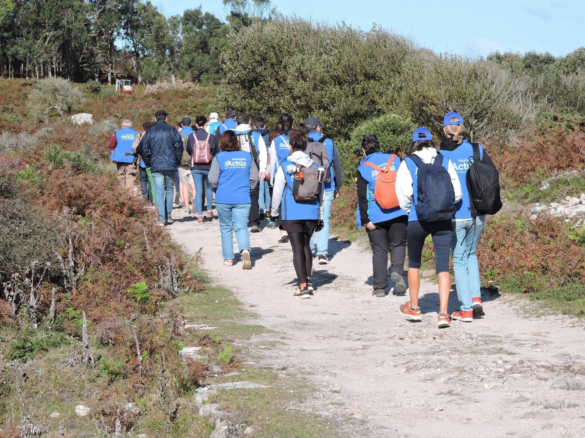 Así luchan los voluntarios de Abanca contra la basura marina y las plantas invasoras en la isla de Sálvora.