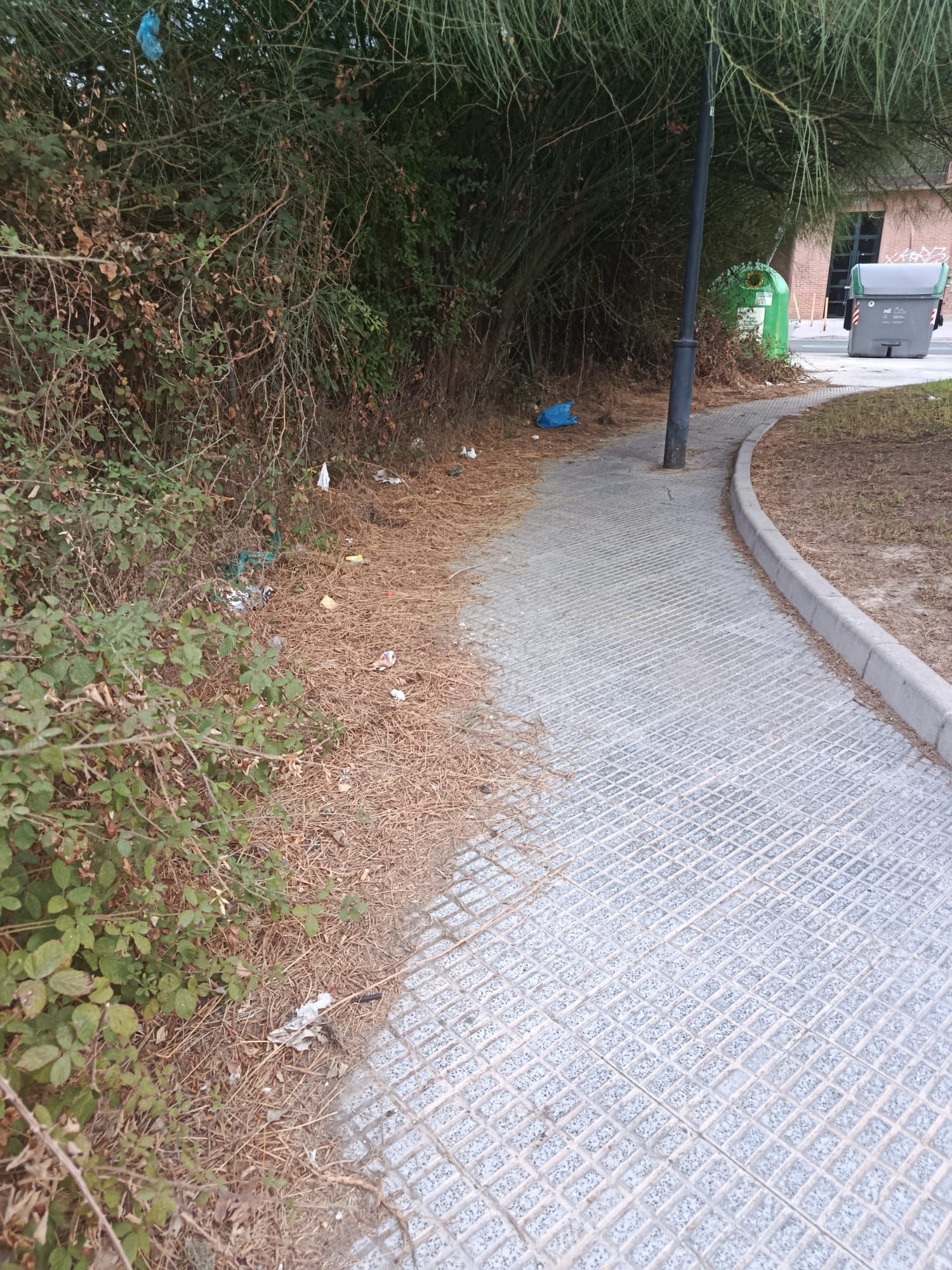 WhatsApp Image 2025-09-30 at 21.34.53 (3).jpeg