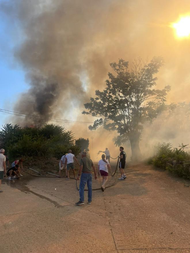GALERÍA| Así se ha luchado contra el fuego en Cunquilla de Vidriales