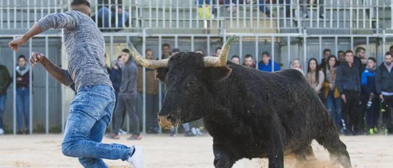 Las peñas trabajan en los carteles de 2019