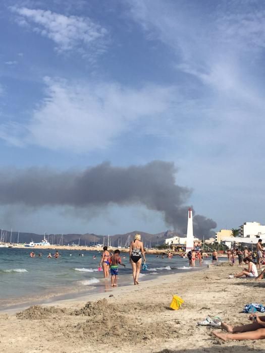 Im Gebiet von sa Canova im Nordosten von Mallorca ist am Mittwochnachmittag (17.8.) erneut ein Waldbrand ausgebrochen, nachdem es nur zwei Tage zuvor bereits gebrannt hatte. Das Feuer war gegen 2 Uhr nachts unter Kontrolle und zerstörte rund 23 Hektar Kiefernwald.