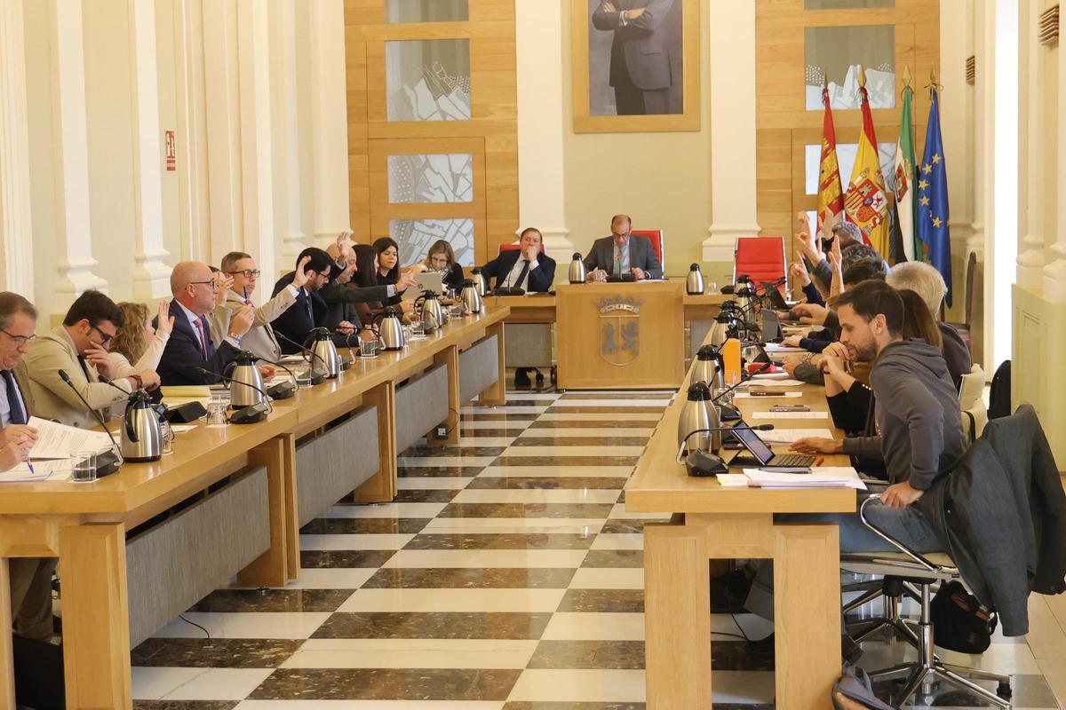 Votación en el pleno de este jueves.