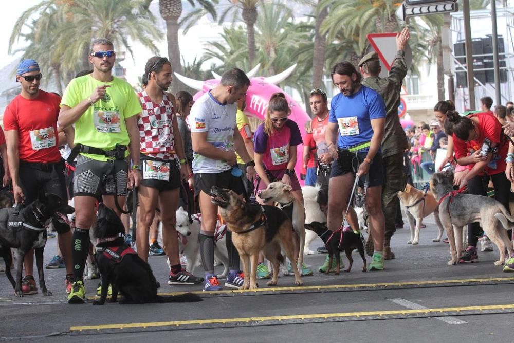 Canicross del Cross de la Artillería de Cartagena