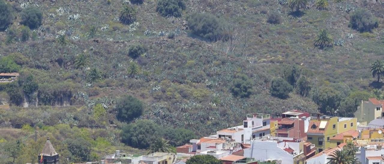 Vista del casco de Santa Brígida desde La Atalaya. | | JOSÉ CARLOS GUERRA