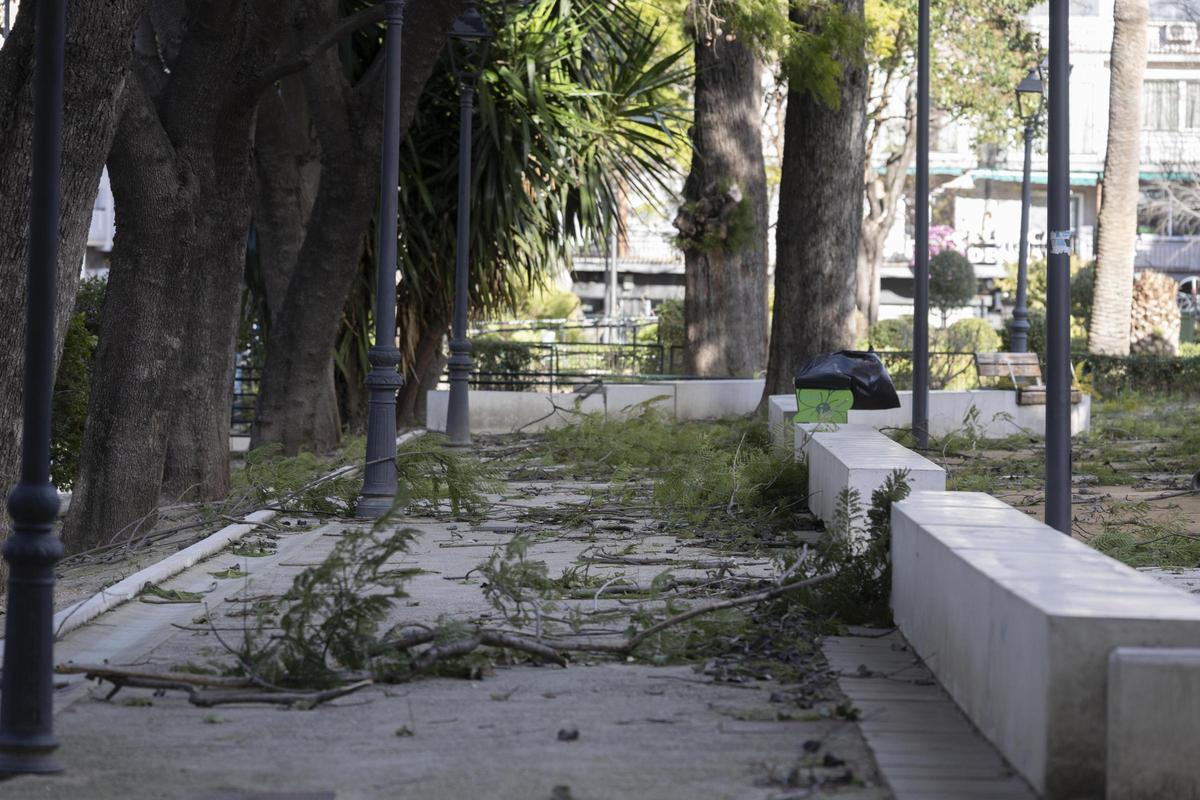 El temporal asociado a la borrasca Kristin ha dejado imágenes de impacto en Xàtiva, las rachas de viento han alcanzado niveles huracanados
