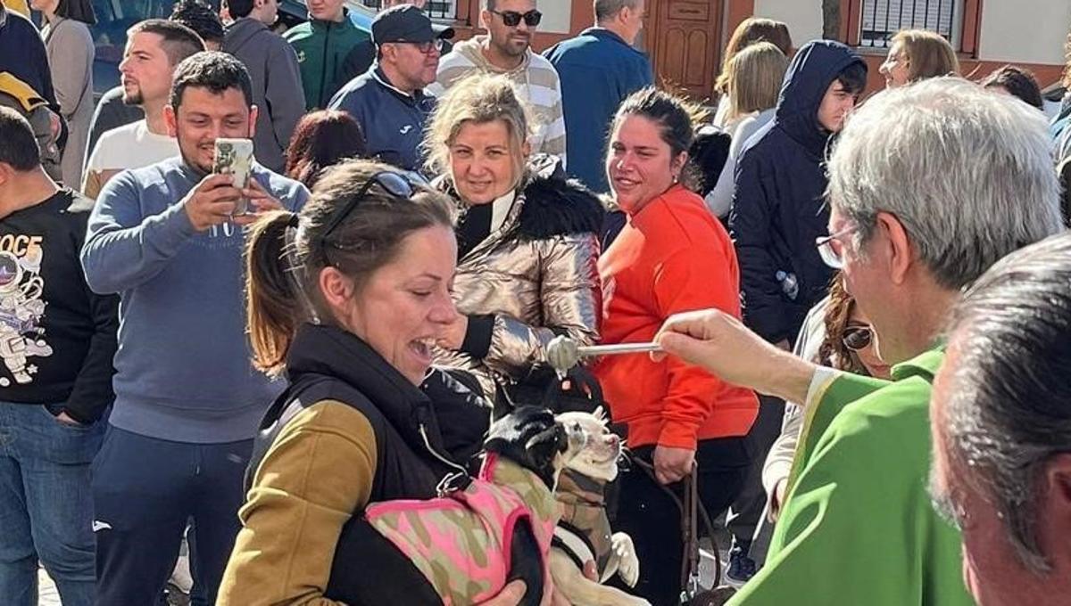 Una celebración anterior de San Antón en San Roque.