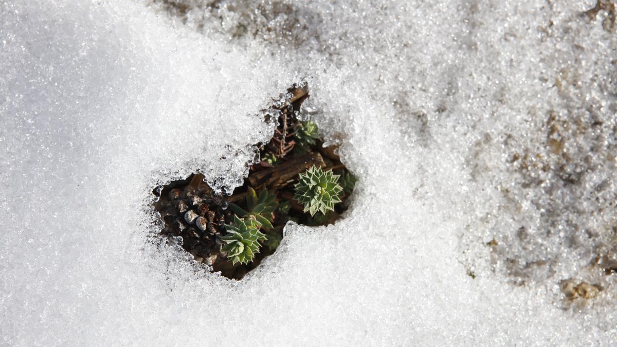 Schnee in der Tramuntana - Wanderung am Stausee Cúber auf Mallorca