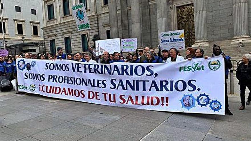 La cabecera de la manifestación, a las puertas del Congreso de los Diputados.