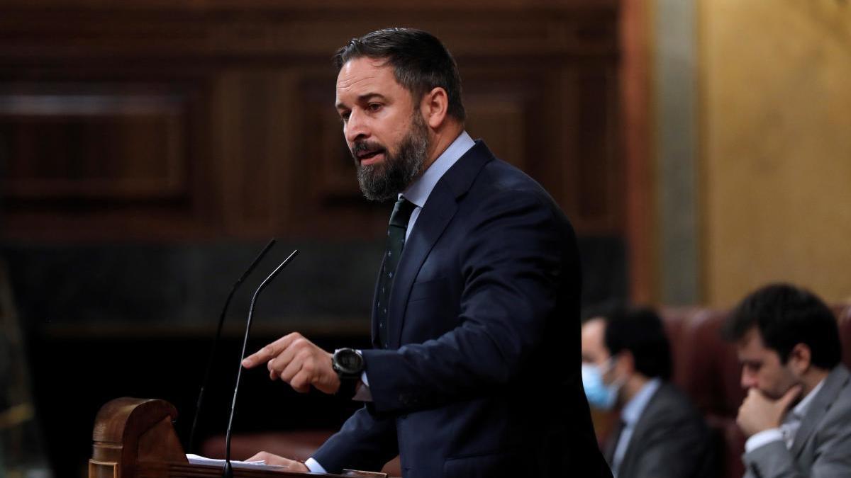 Abascal, en su intervención en el Congreso.