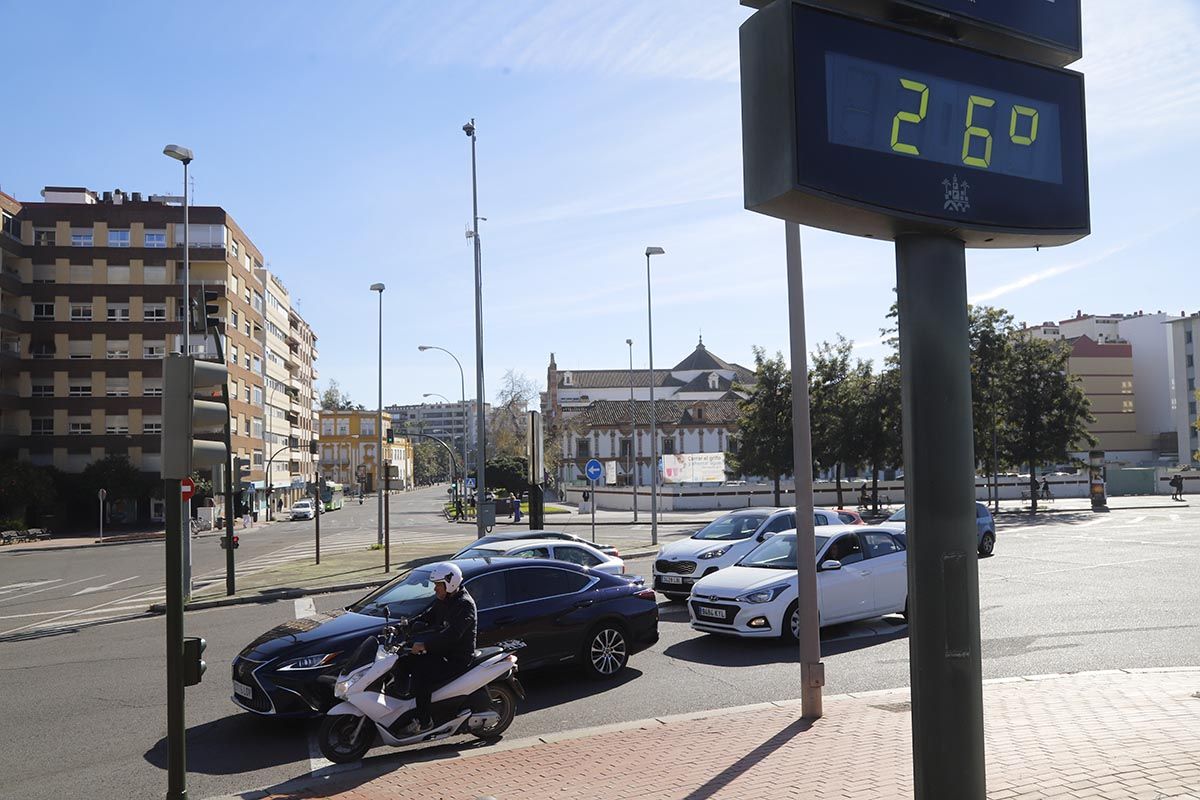 Primaveral día invernal en Córdoba