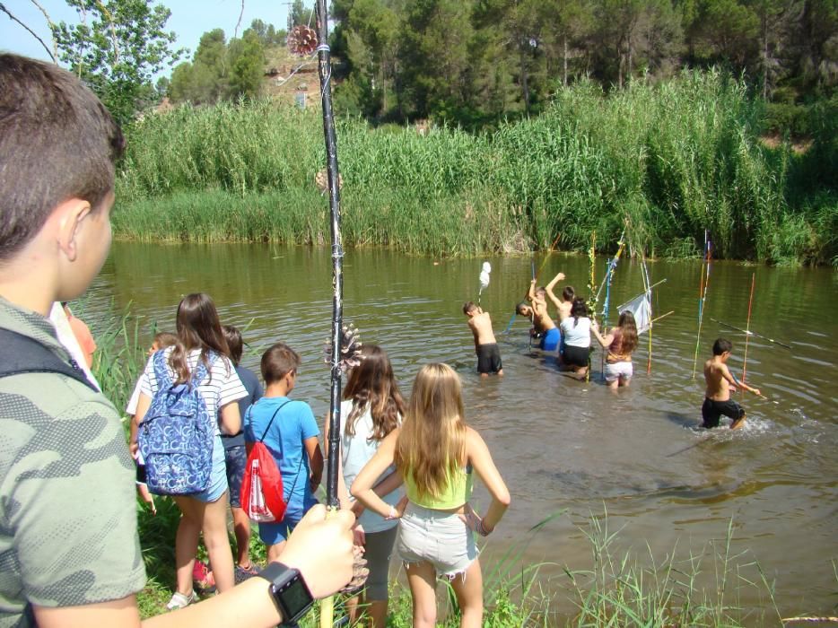 Infants de Sant Salvador creen el 'bosc de l'alegria'