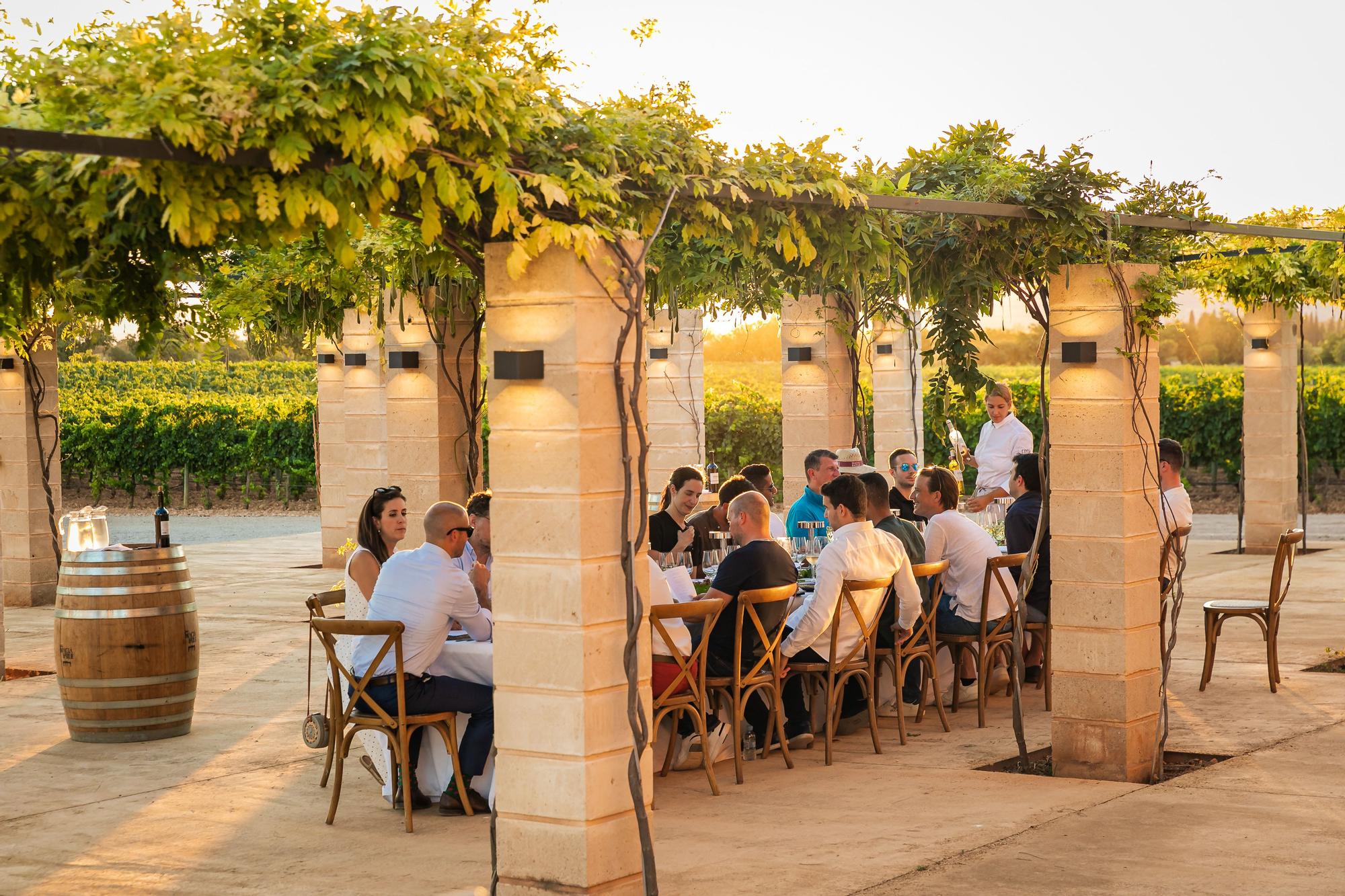 Celebra tu evento en Mallorca entre viñedos y vistas a la Serra de Tramuntana
